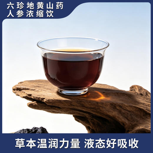 怀府街|六珍地黄山药人参浓缩饮 匠心熬制 高倍浓缩 直饮袋装 方便携带 30ml*20袋 商品图2