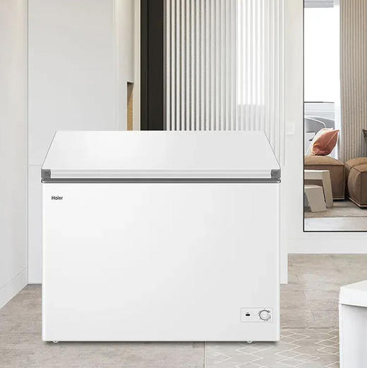 海尔（Haier）冷柜 BC/BD-300GHPDZ 商品图10