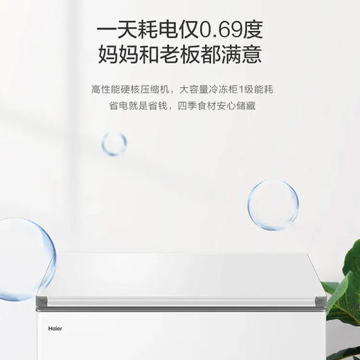 海尔（Haier）冷柜 BC/BD-300GHPDZ 商品图7