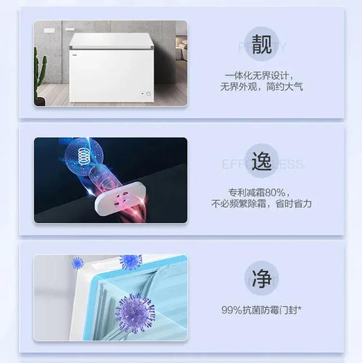 海尔（Haier）冷柜 BC/BD-300GHPDZ 商品图1