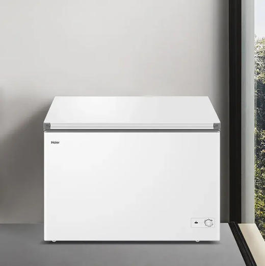 海尔（Haier）冷柜 BC/BD-300GHPDZ 商品图9