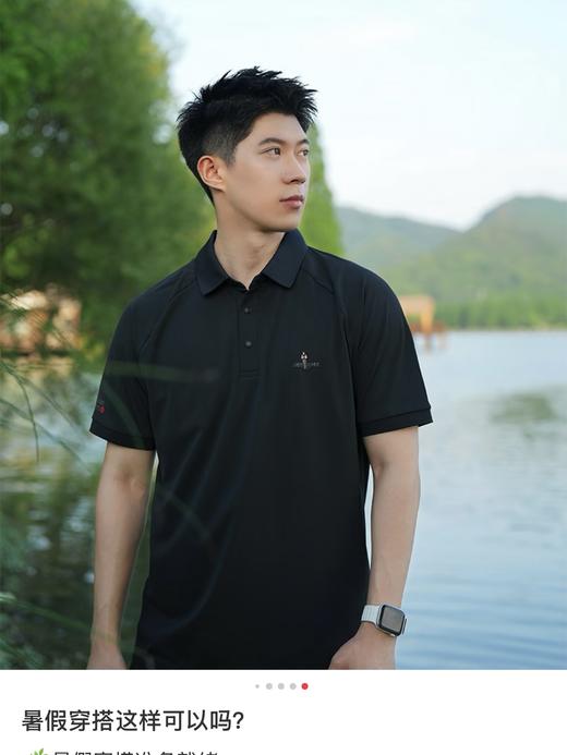 原厂比音勒芬春夏季男高端轻商务休闲翻领T恤复合纱短袖polo衫 商品图2