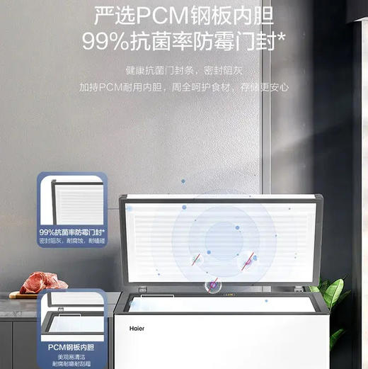 海尔（Haier）冷柜 BC/BD-300GHPDZ 商品图4