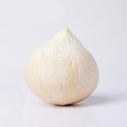 椰皇（个） 商品图0