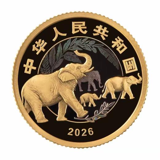 【发行价】2026年守护地球家园金银币3克金币 单枚金币 中国人民银行发行 商品图1