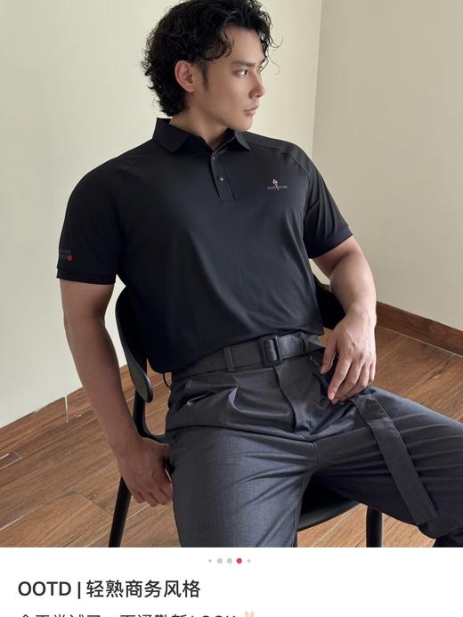原厂比音勒芬春夏季男高端轻商务休闲翻领T恤复合纱短袖polo衫 商品图6