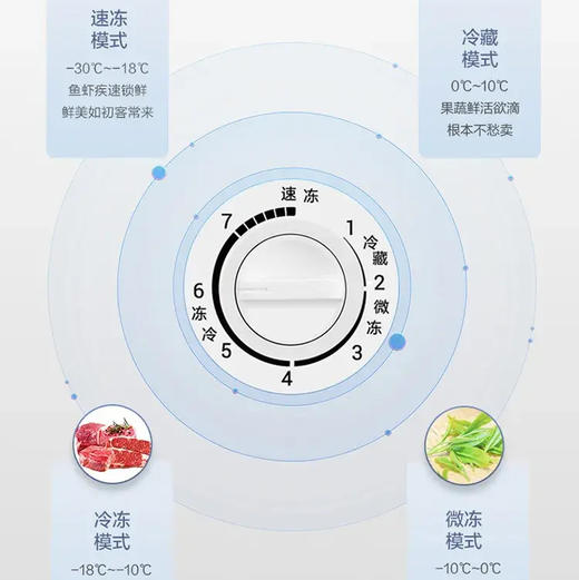 海尔（Haier）冷柜 BC/BD-300GHPDZ 商品图8