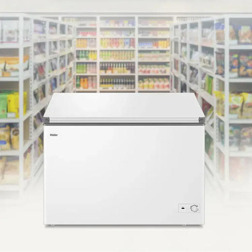 海尔（Haier）冷柜 BC/BD-300GHPDZ 商品图11