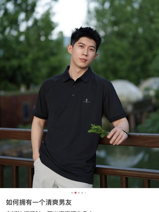 原厂比音勒芬春夏季男高端轻商务休闲翻领T恤复合纱短袖polo衫 商品图5