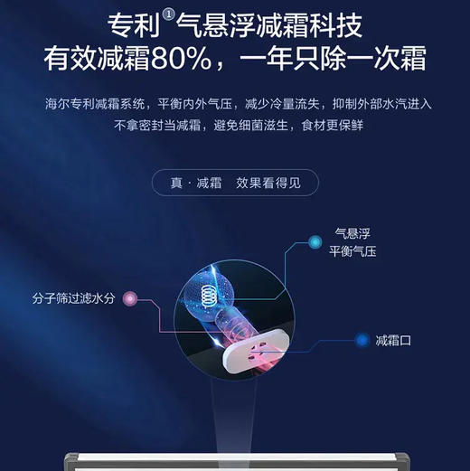 海尔（Haier）冷柜 BC/BD-300GHPDZ 商品图3