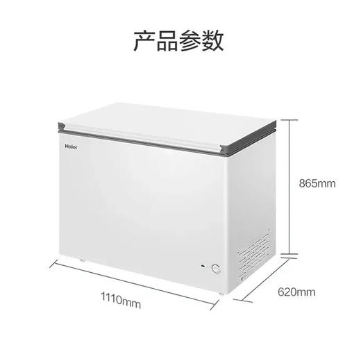 海尔（Haier）冷柜 BC/BD-300GHPDZ 商品图13