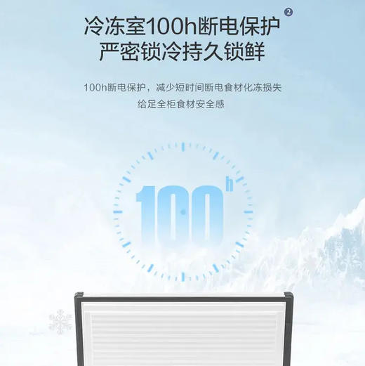 海尔（Haier）冷柜 BC/BD-300GHPDZ 商品图5