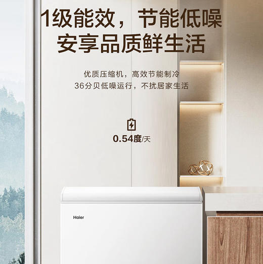 海尔（Haier）冰柜 BC/BD-200GHTA 商品图9