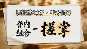 【脊内组合-搓掌】系统六大开27式版带练课（陆师亲授）