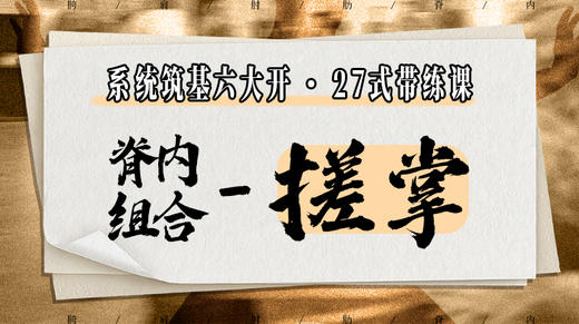 【脊内组合-搓掌】系统六大开27式版带练课（陆师亲授） 商品图0