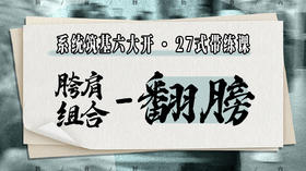 【胯肩组合-翻膀】系统六大开27式版带练课（陆师亲授）