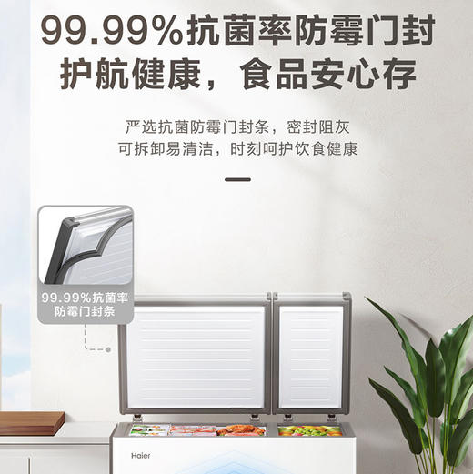 海尔（Haier）冷柜 FCD-210GHXD 商品图5