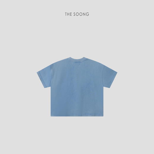 THESOONG|新品极简高支全棉炒盐水洗做旧短袖T恤上衣女9026 商品图9