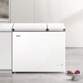 海尔（Haier）冷柜 FCD-210GHXD