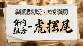 【脊内组合-虎摆尾】系统六大开27式版带练课（陆师亲授）