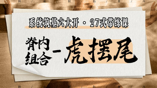 【脊内组合-虎摆尾】系统六大开27式版带练课（陆师亲授） 商品图0