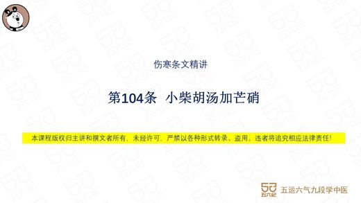 伤寒第104条 小柴胡汤加芒硝 商品图0