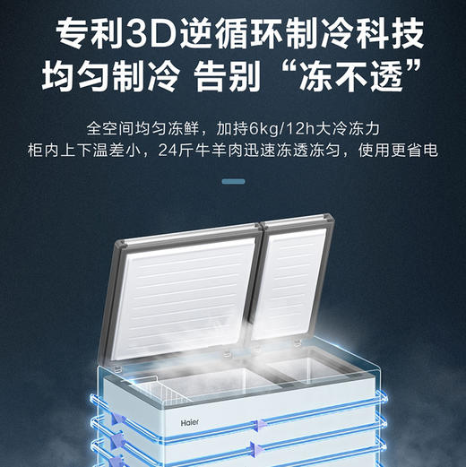 海尔（Haier）冷柜 FCD-210GHXD 商品图4