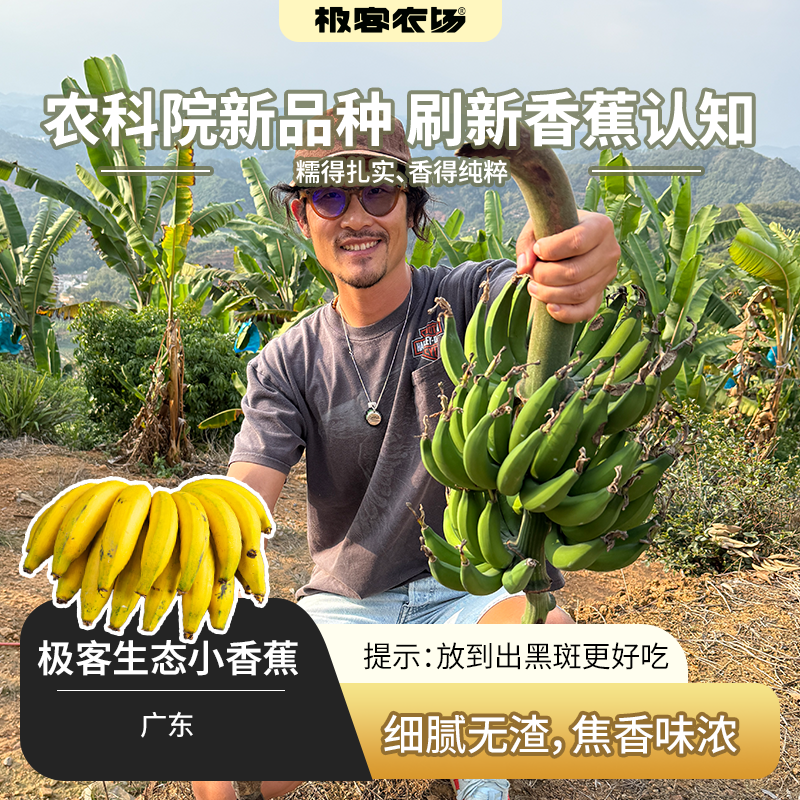 【排单发货】极客生态小香蕉丨农科院新品种，细腻无渣，焦香浓郁，放到出黑斑会更好吃。⭐圆通快递