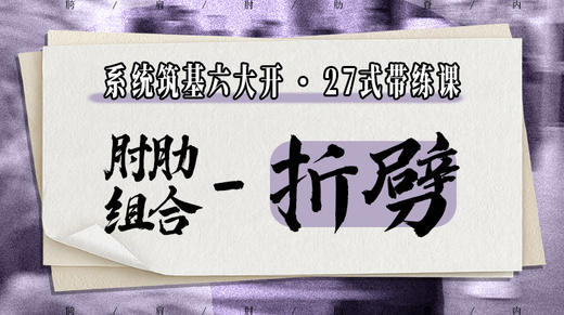 【肘肋组合-折劈】系统六大开27式版带练课（陆师亲授） 商品图0