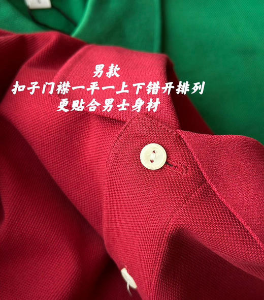 王一博鳄鱼小标珠地棉Polo衫短袖T恤5.4 商品图5
