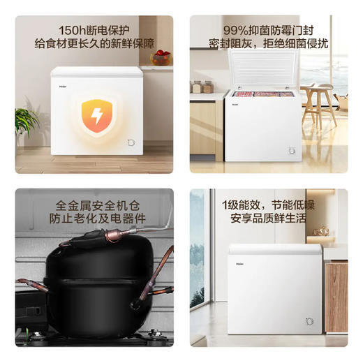 海尔（Haier）冰柜 BC/BD-200GHTA 商品图4