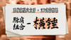 【胯肩组合-横锤】系统六大开27式版带练课（陆师亲授） 商品缩略图0