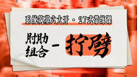 【肘肋组合-拧劈】系统六大开27式版带练课（陆师亲授）