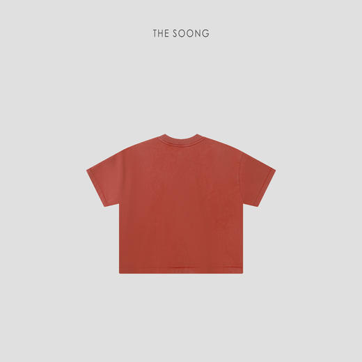 THESOONG|新品极简高支全棉炒盐水洗做旧短袖T恤上衣女9026 商品图7