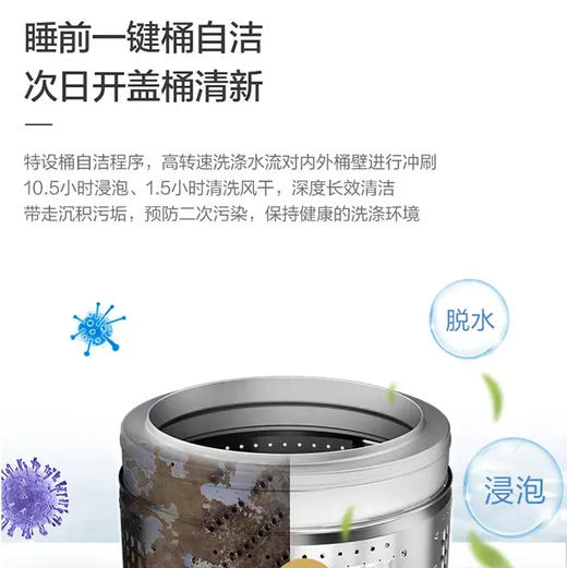 海尔（Haier）洗衣机 XQB80-Z10D0 商品图4