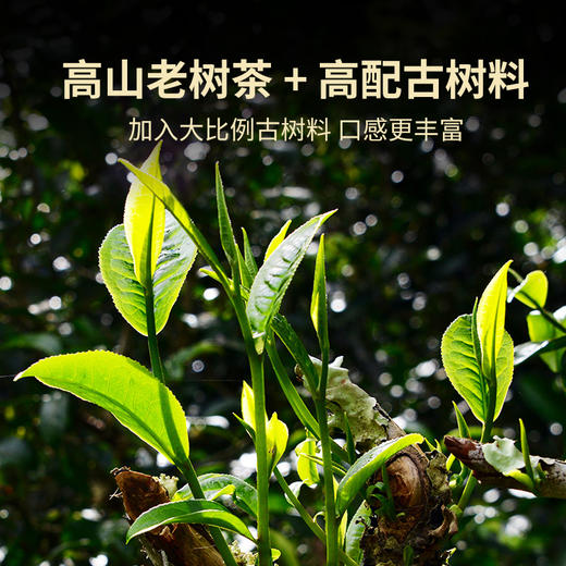 澜沧古茶2023年007大砖生茶普洱茶云南茶叶乔木经典口粮生普芳砖茶 商品图4