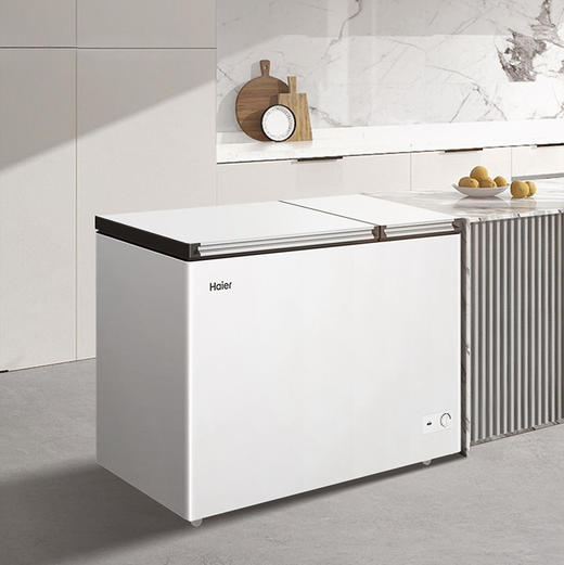 海尔（Haier）冷柜 FCD-210GHXD 商品图3