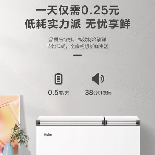 海尔（Haier）冷柜 FCD-210GHXD 商品图7