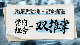 【脊内组合-双推掌】系统六大开27式版带练课（陆师亲授）