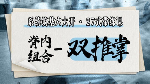 【脊内组合-双推掌】系统六大开27式版带练课（陆师亲授） 商品图0
