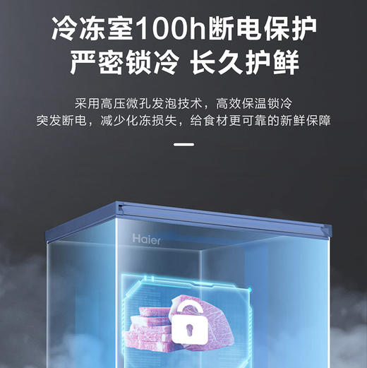 海尔（Haier）冷柜 FCD-210GHXD 商品图2