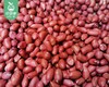【第2份半价】姥家莱连城红衣花生米/1包（500g）生产日期 26年5月 商品缩略图2