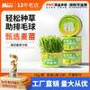 麦斯蒂植高无上懒人猫草罐装 浇水即长 小麦苗猫咪零食化毛球 商品缩略图0