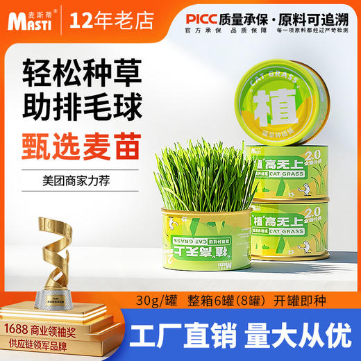 麦斯蒂植高无上懒人猫草罐装 浇水即长 小麦苗猫咪零食化毛球 商品图0