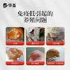 华畜兽用黄芪颗粒提高免疫力猪牛羊鸡鸭鹅抗应激补能量饲料添加剂 商品缩略图1