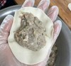 【任选3份包邮并送4个大鲅鱼水饺】纯手工蒸饺/水饺/馄饨/菜包子丨当季新鲜时蔬搭配自养黑猪肉，多口味可选，现做现发⭐️顺丰快递 商品缩略图12