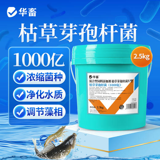 华畜枯草芽孢杆菌1000亿活菌水产养殖鱼虾蟹改底调水肥水净水调藻 商品图0