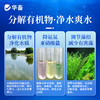 华畜枯草芽孢杆菌1000亿活菌水产养殖鱼虾蟹改底调水肥水净水调藻 商品缩略图3