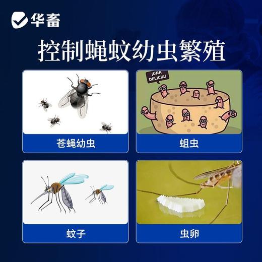 华畜兽药环丙氨嗪预混剂兽用蝇蛆净灭苍蝇夏季长期灭蝇灭蛆苍蝇药 商品图3
