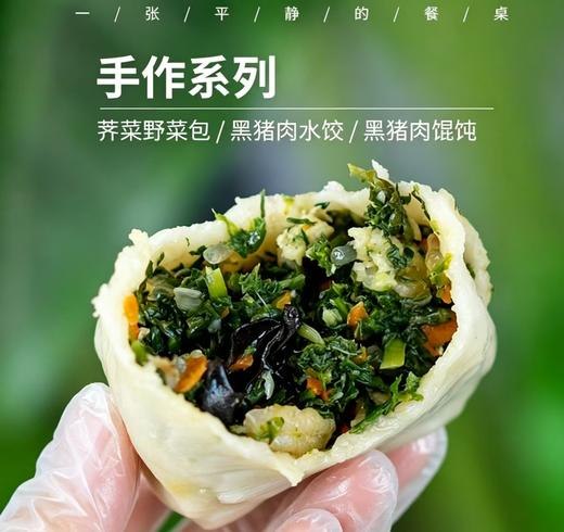 【任选3份包邮并送4个大鲅鱼水饺】纯手工蒸饺/水饺/馄饨/菜包子丨当季新鲜时蔬搭配自养黑猪肉，多口味可选，现做现发⭐️顺丰快递 商品图0